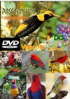 DVD 10 - P�ssaros Livres - Sons P�ssaros Brasil